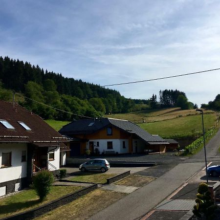 Ferienwohnung Am Nuerburgring/Wintersport Arft Acht Exteriör bild