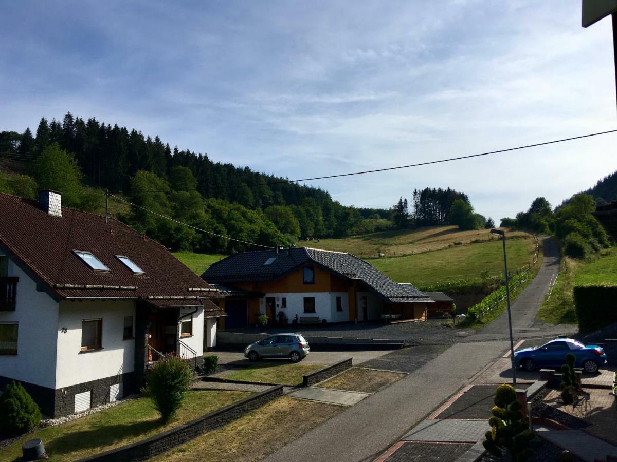 Ferienwohnung Am Nuerburgring/Wintersport Arft Acht Exteriör bild
